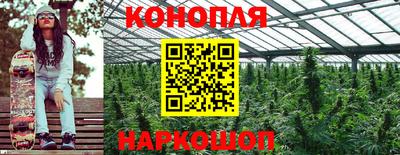 гидропоника Апрелевка