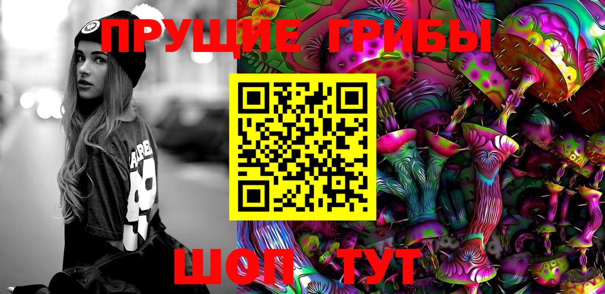 Псилоцибиновые грибы Cubensis  Галлюциногенные грибы ЛСД  Вход с VPN  Борзя 
